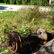 Image for article titled I Just Came Home to a Junkyard